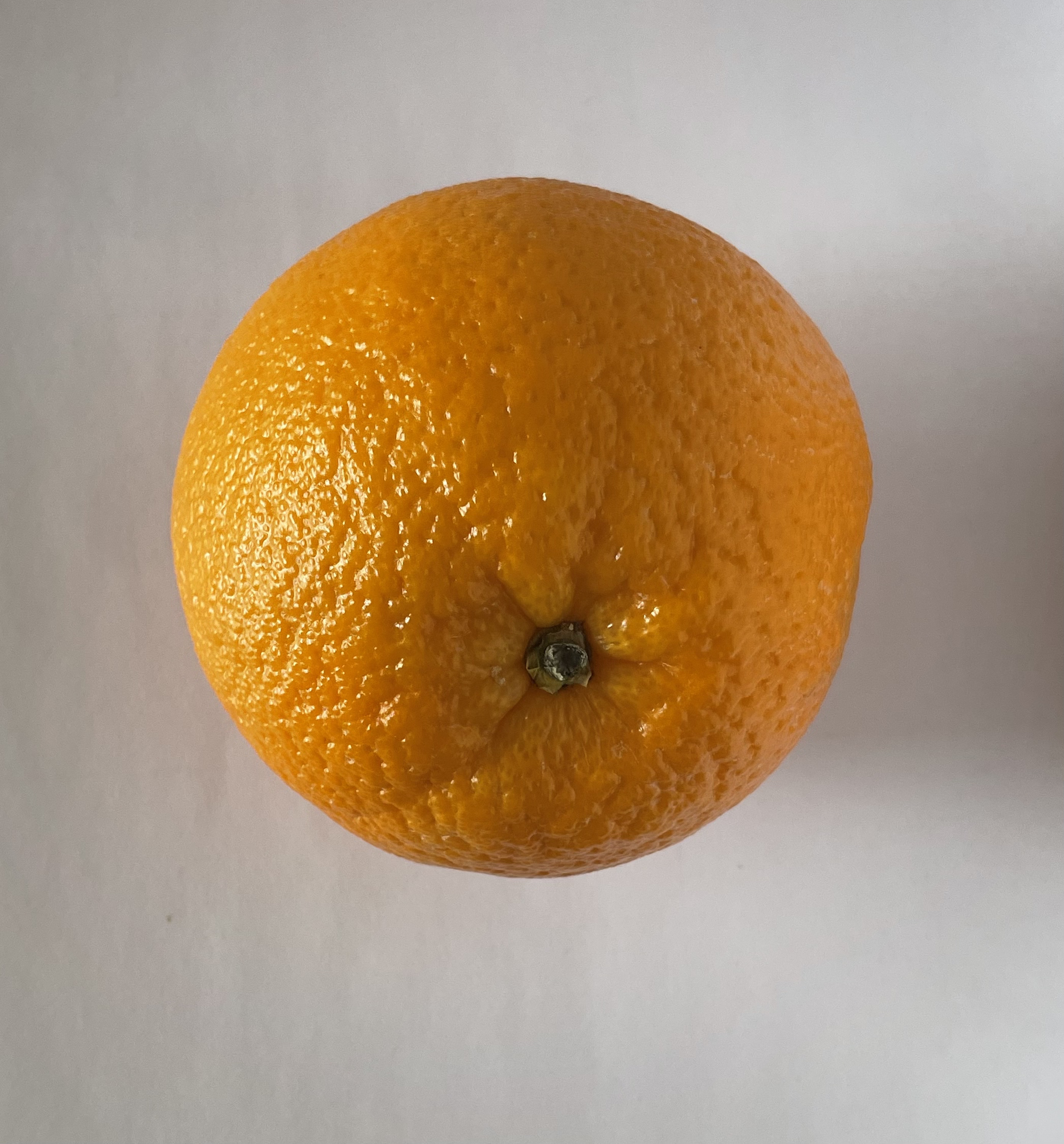 The front view of an orange.