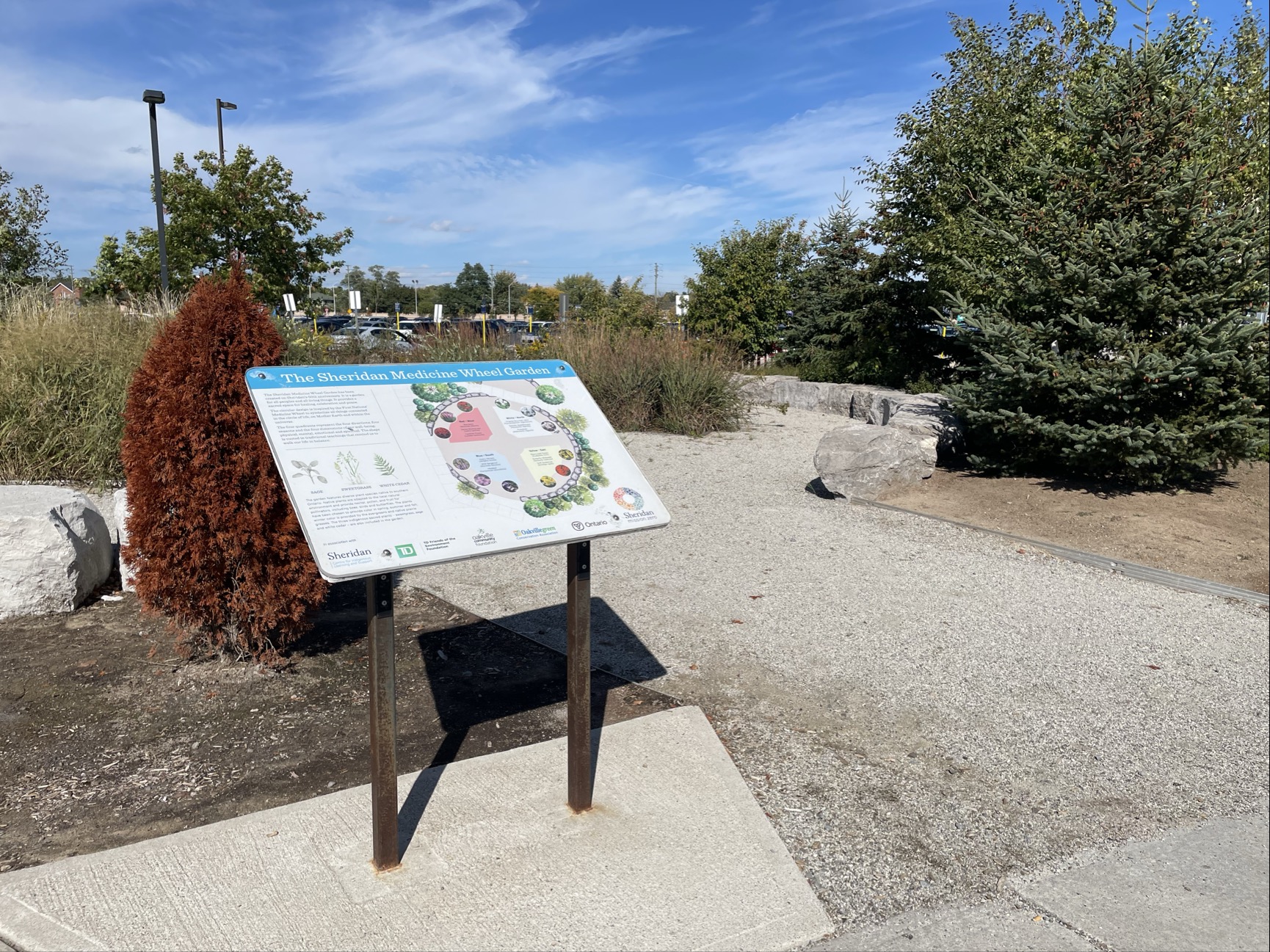 Image taken for spatial workshop 1 of the garden at the front of the campus.