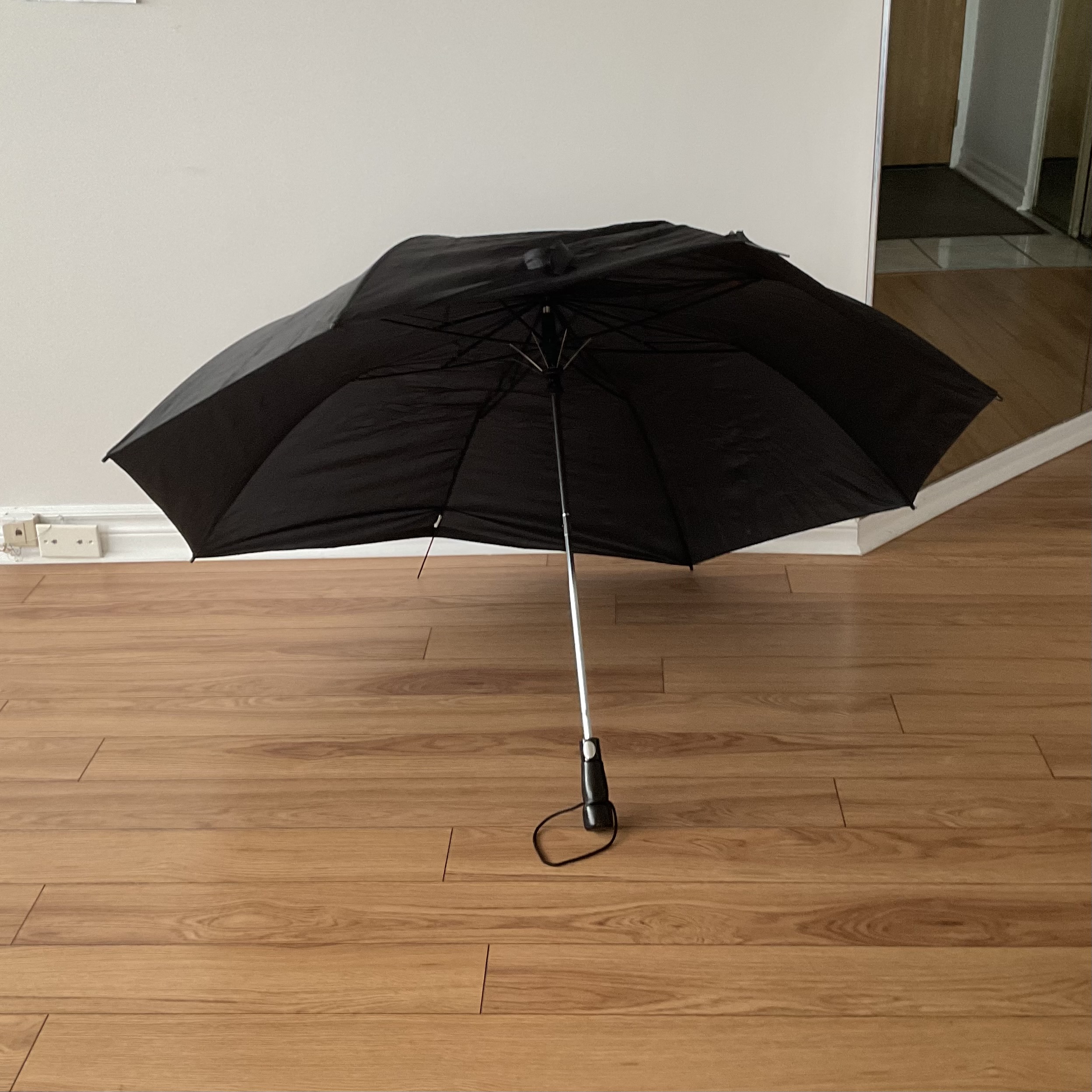 An umbrella I would use for a rainy or sunny days.