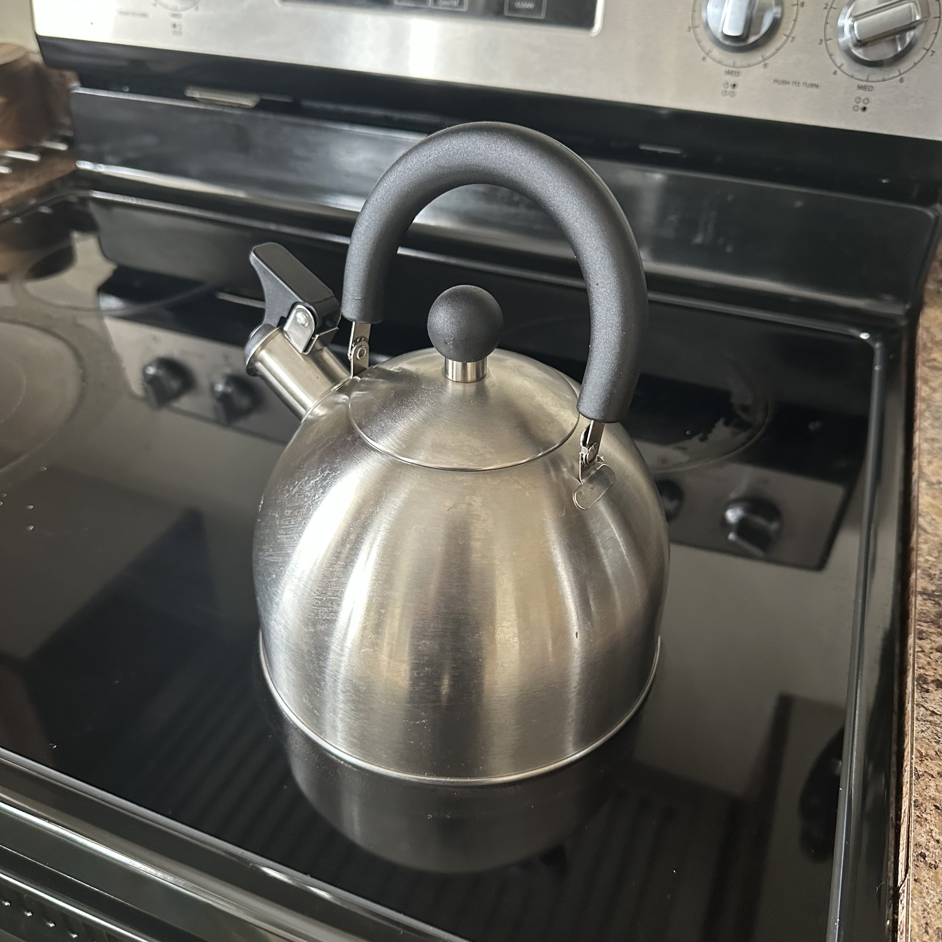 sound of a kettle boiling <br><audio controls src='audio/boiling water.m4a'></audio>