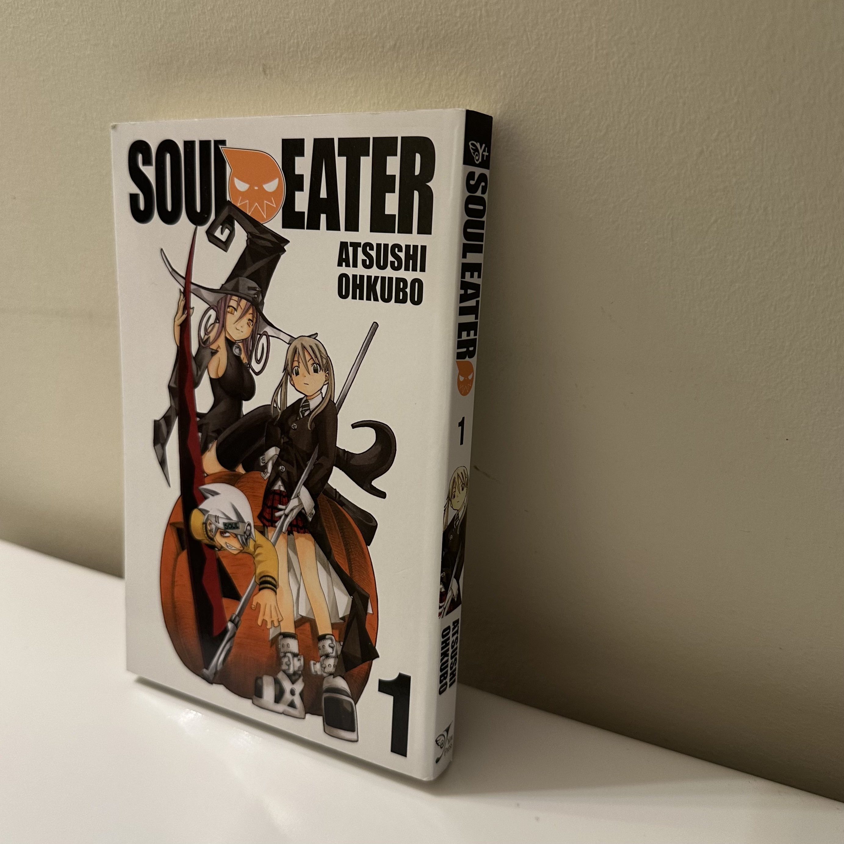 sound of a book being flipped through <br><audio controls src='audio/manga.m4a'></audio>